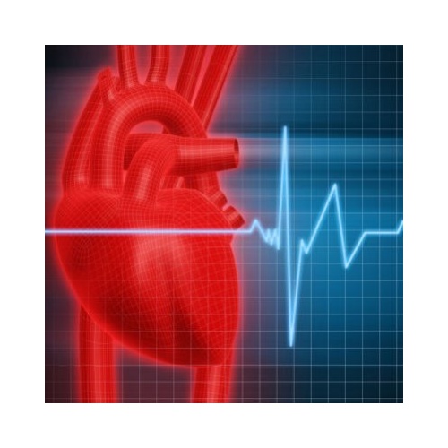 PH11 Circulatory System Test Kit