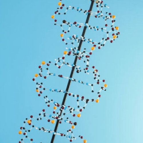 PH18 Chromosomes Plus Test Kit