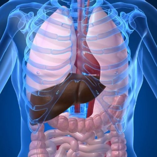PH5 Gallbladder and Liver Test Kit