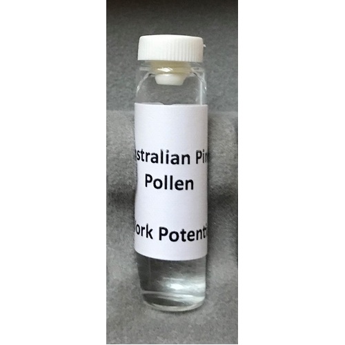 Australian Pine Pollen