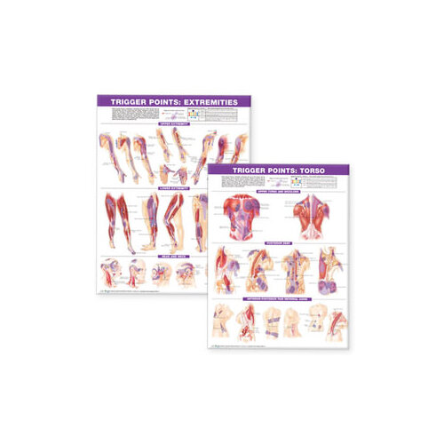 Trigger Point Wall Chart SET (ACC) - sale