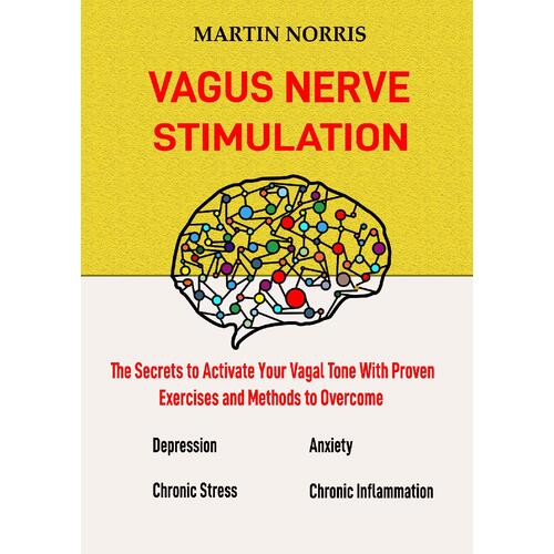 Vagus Nerve Stimulation